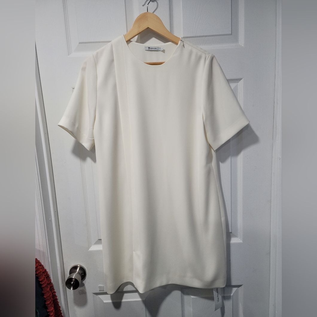 Elegant Alexander Wang Women's Ivory Mini Dress Size 10 Short Sleeve Round Neck